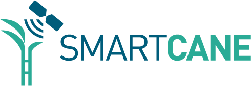 Smartcane